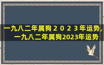 一九八二年属狗２０２３年运势,一九八二年属狗2023年运势 🐒 五月二十 🐡 七日申时候运气